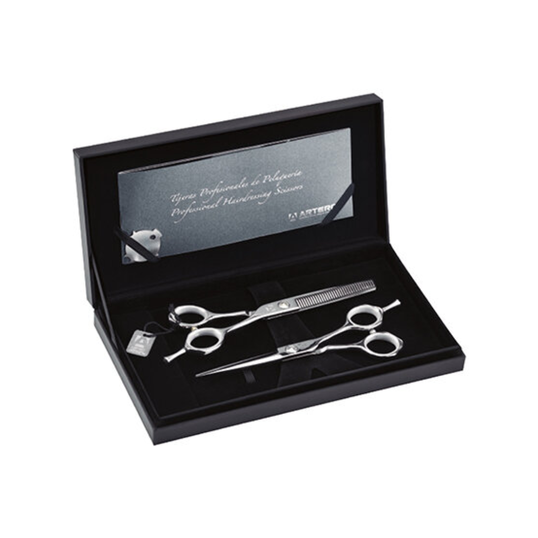 Artero Stage 2 Pieces - Комплект Професионални Ножици